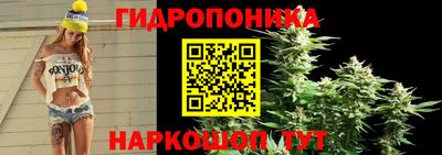 2c-b Железногорск